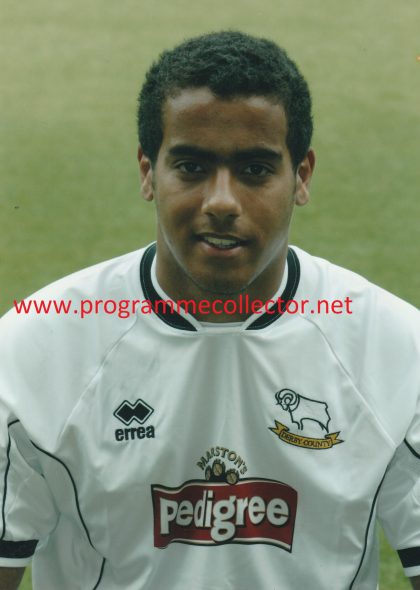 Tom Huddlestone photo